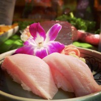 Nigiri Sushi