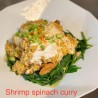 Shrimp Spinach Curry