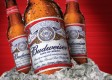 Budweiser