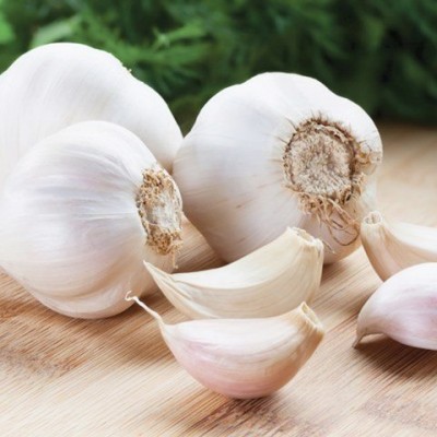 GARLIC, Organic