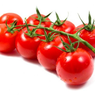 TOMATO, ORGANIC