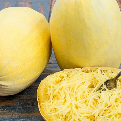 SQUASH,SPAGHETTI