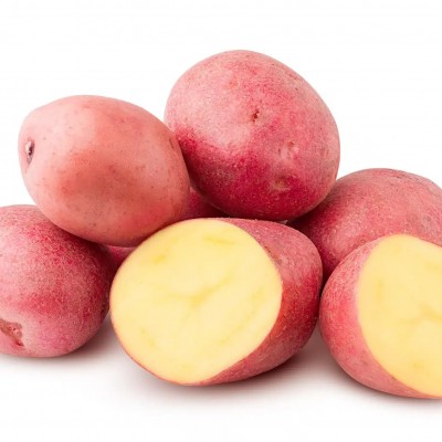 POTATO, RED