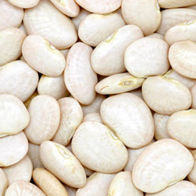 BEANS, BABY LIMA ORGANIC