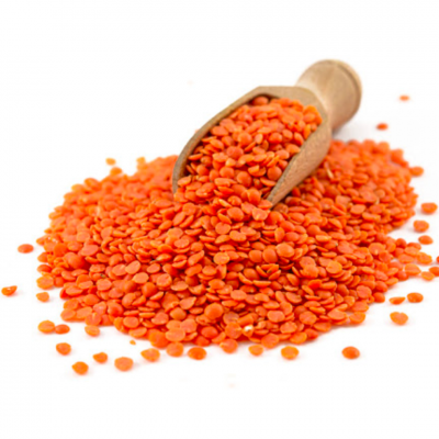 LENTILS, RED ORGANIC