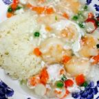 Shrimp