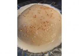 Sweet Sticky Rice with Coconut Syrup