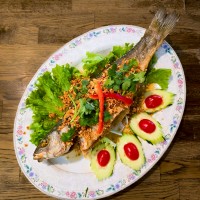 FISH