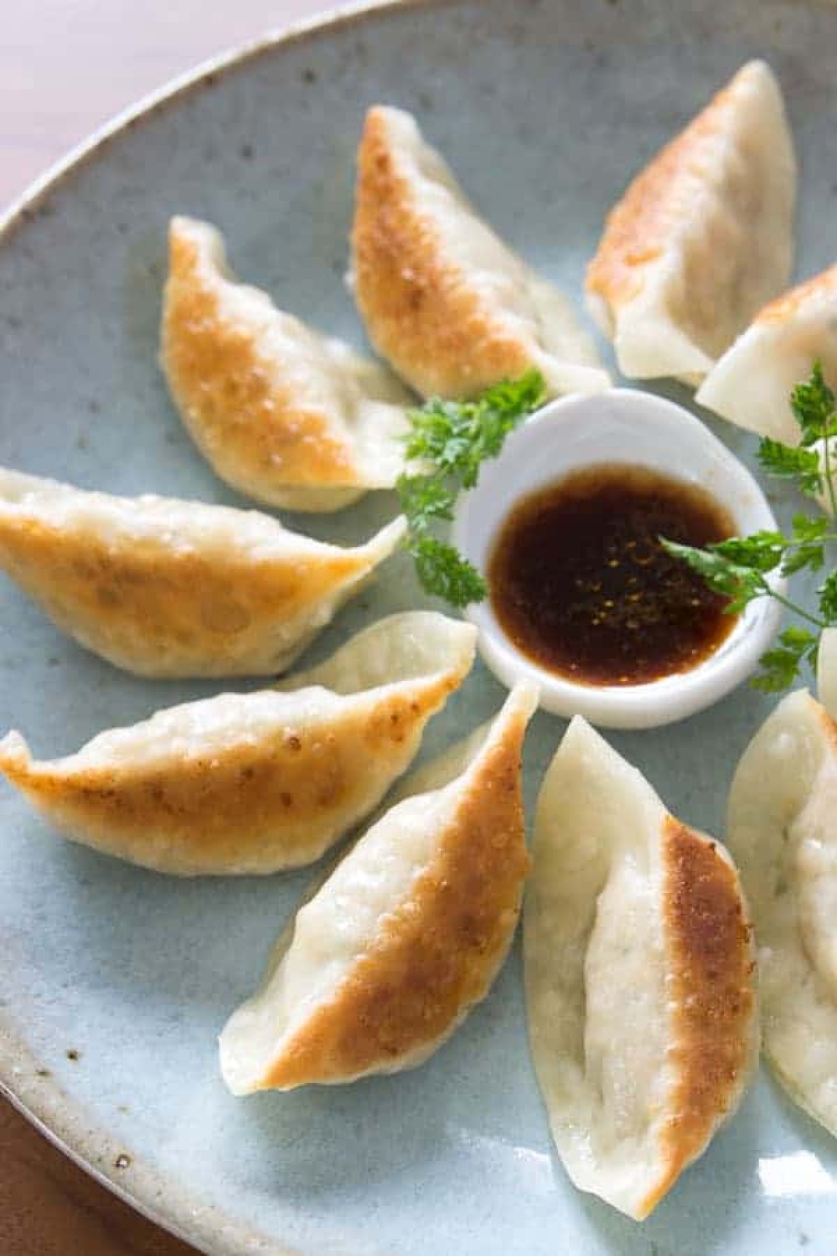 Pot Stickers (6 pc)