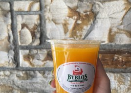 Fresh Squeezed Orange Juice 16 Oz