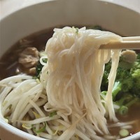 Noodle Soup