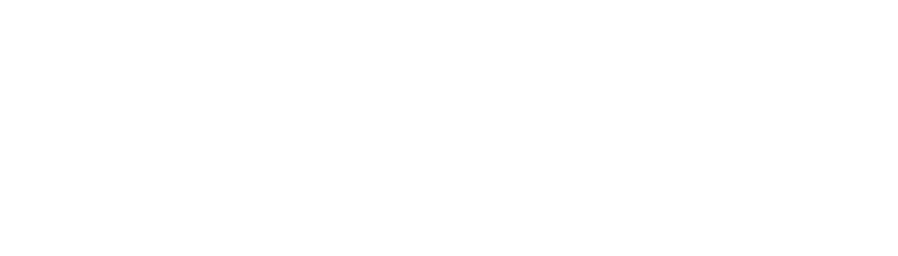 Bravo Pizza and Chicken - CLOSED