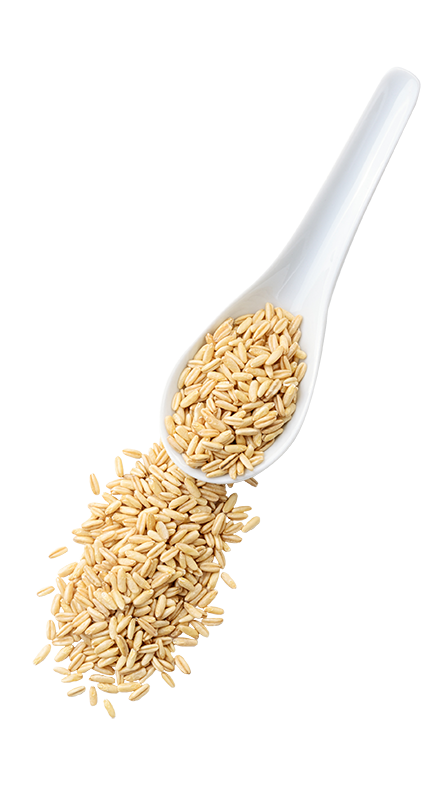 Random Food Image