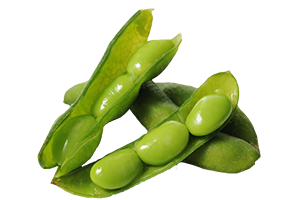 Random Food Image