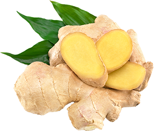 Random Food Image
