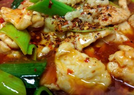 Hot and Numbing Fish