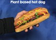hot dog sub