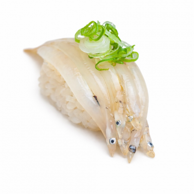 Shirauo (sushi only)