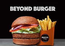 Beyond Burger