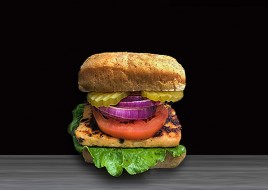 Salmon Burger Combo