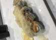 R31. Hunt Valley Roll (Spicy)
