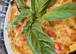 Margarita Pizza