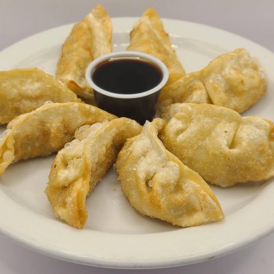 Chicken Dumplings (8)