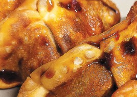 Chicken Dumplings
