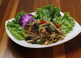 Thum Lao Style