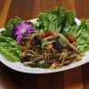 Thum Lao Style