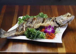 Striped Bass (Jumbo)