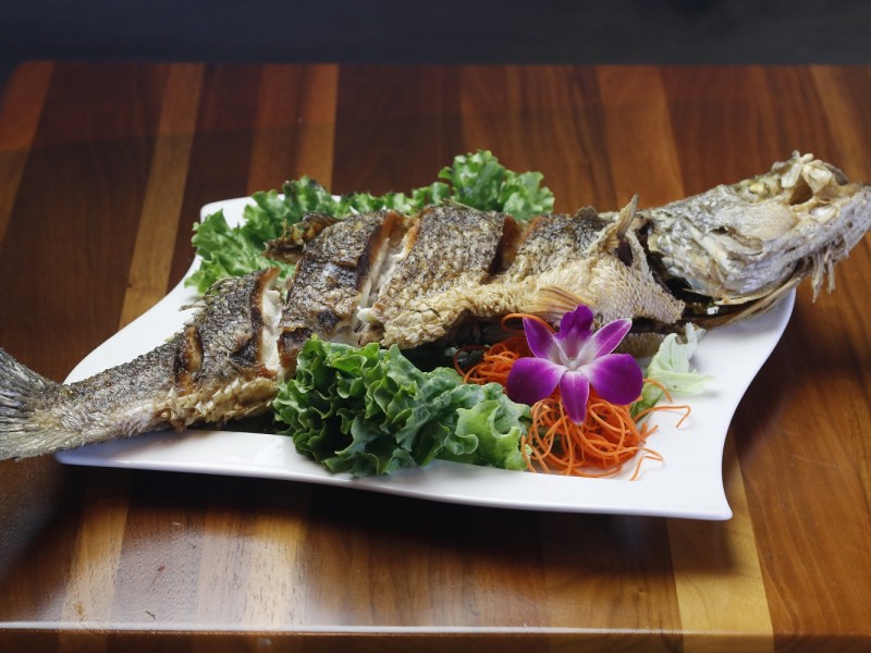 Striped Bass (Jumbo)