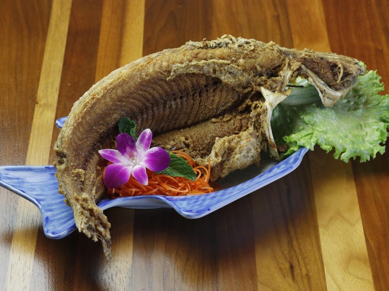 Halibut (Large)