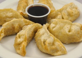 Chicken Dumplings