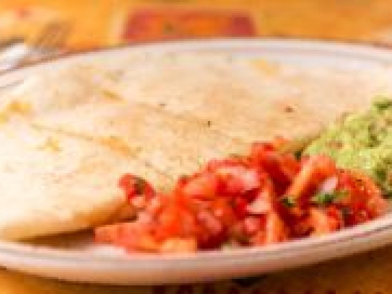 Meat Quesadilla