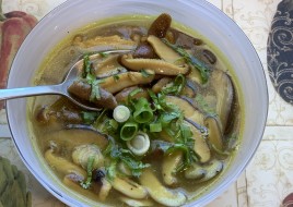 The Healing Soup