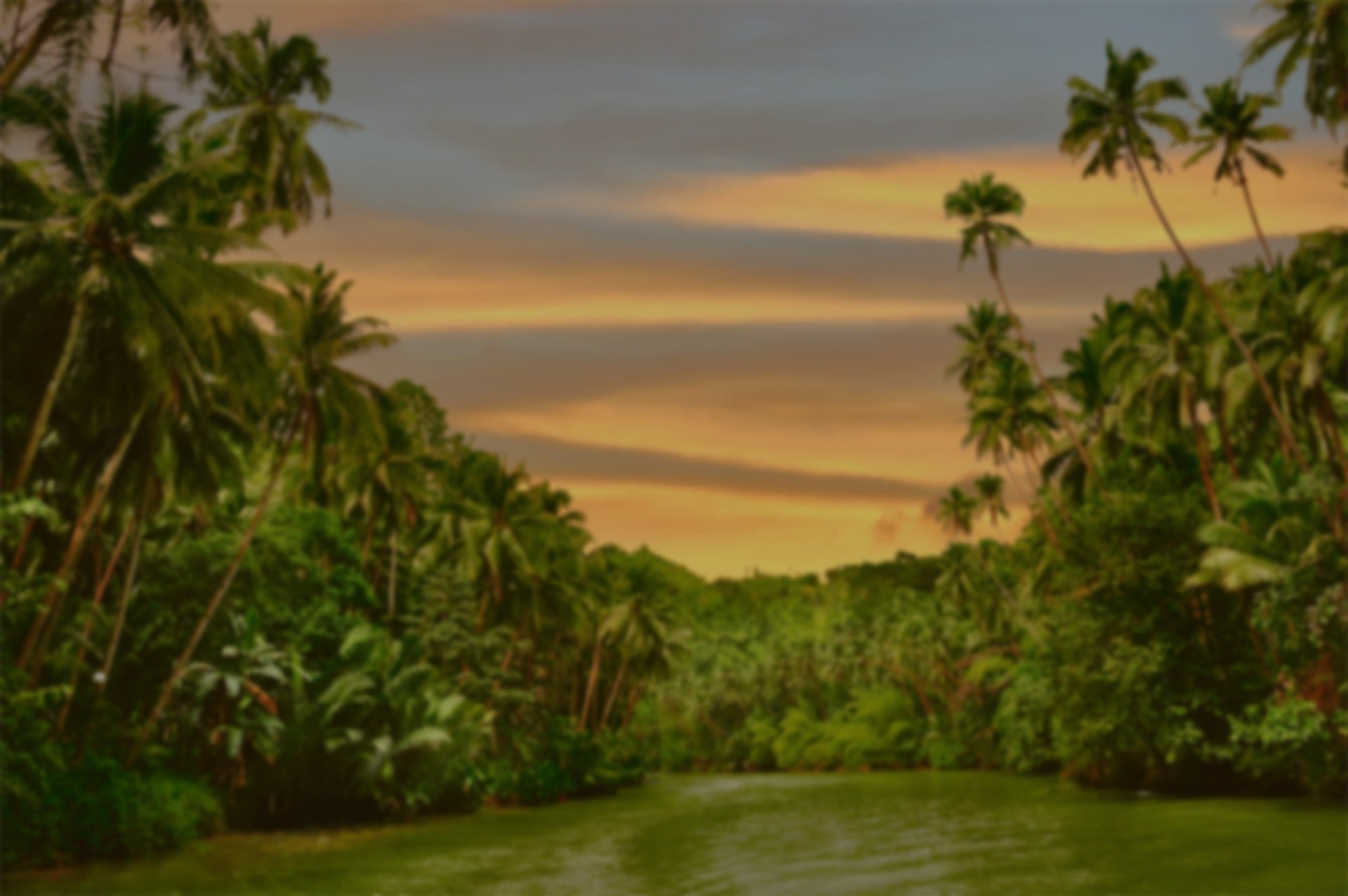 Bamboo Cafe Simi Valley Menu Order BOBA Online