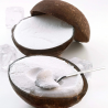 Coconut Sorbet Ice Cream