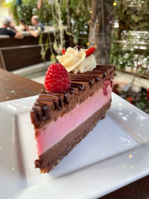 Chocolate Raspberry Mud Pie