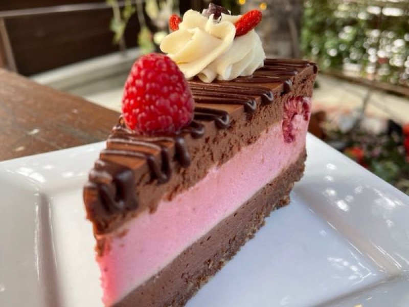 Chocolate Raspberry Mud Pie