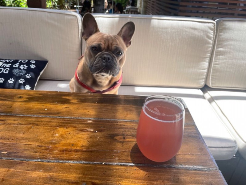 Bambucha Guava Punch Kombucha on Tap