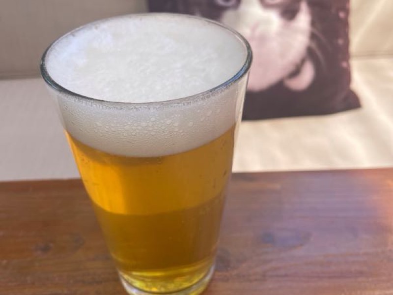 Harland Japanese Lager
