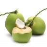 Fresh Whole Young Coconut