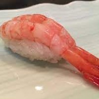 Sashimi