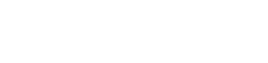 Shake 'N Buns