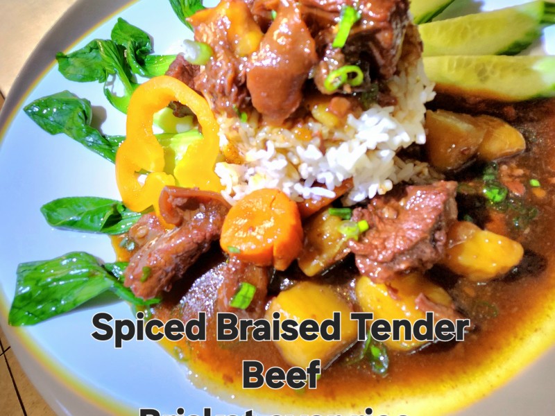 Spiced Braised Tender Beef Brisket over Rice 