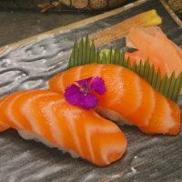 TOKYO NIGIRI