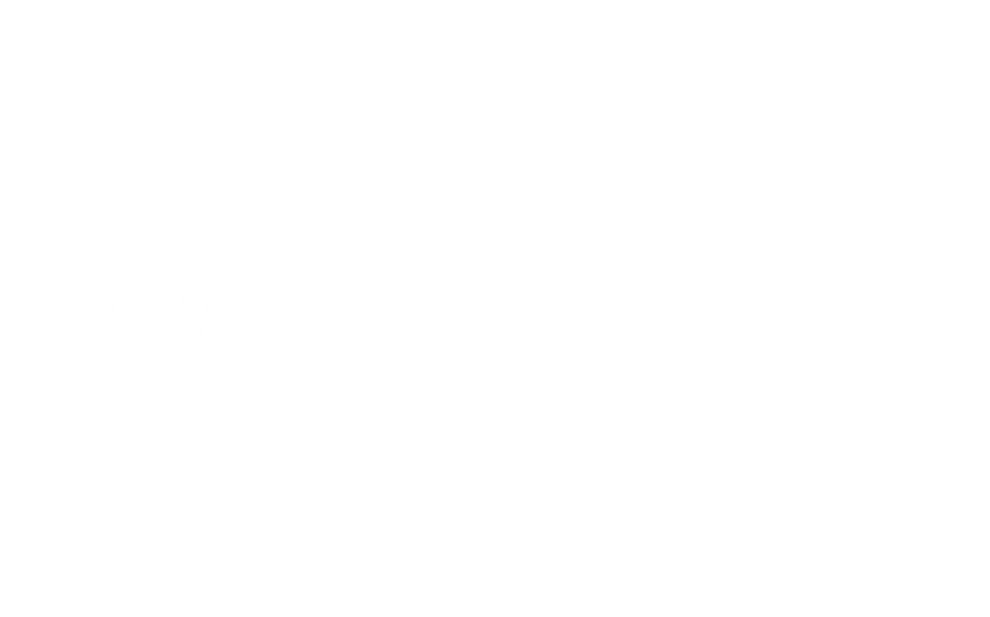 My Falafel On Sunset