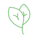 Myleigh's Lettuce and Stuff Logo