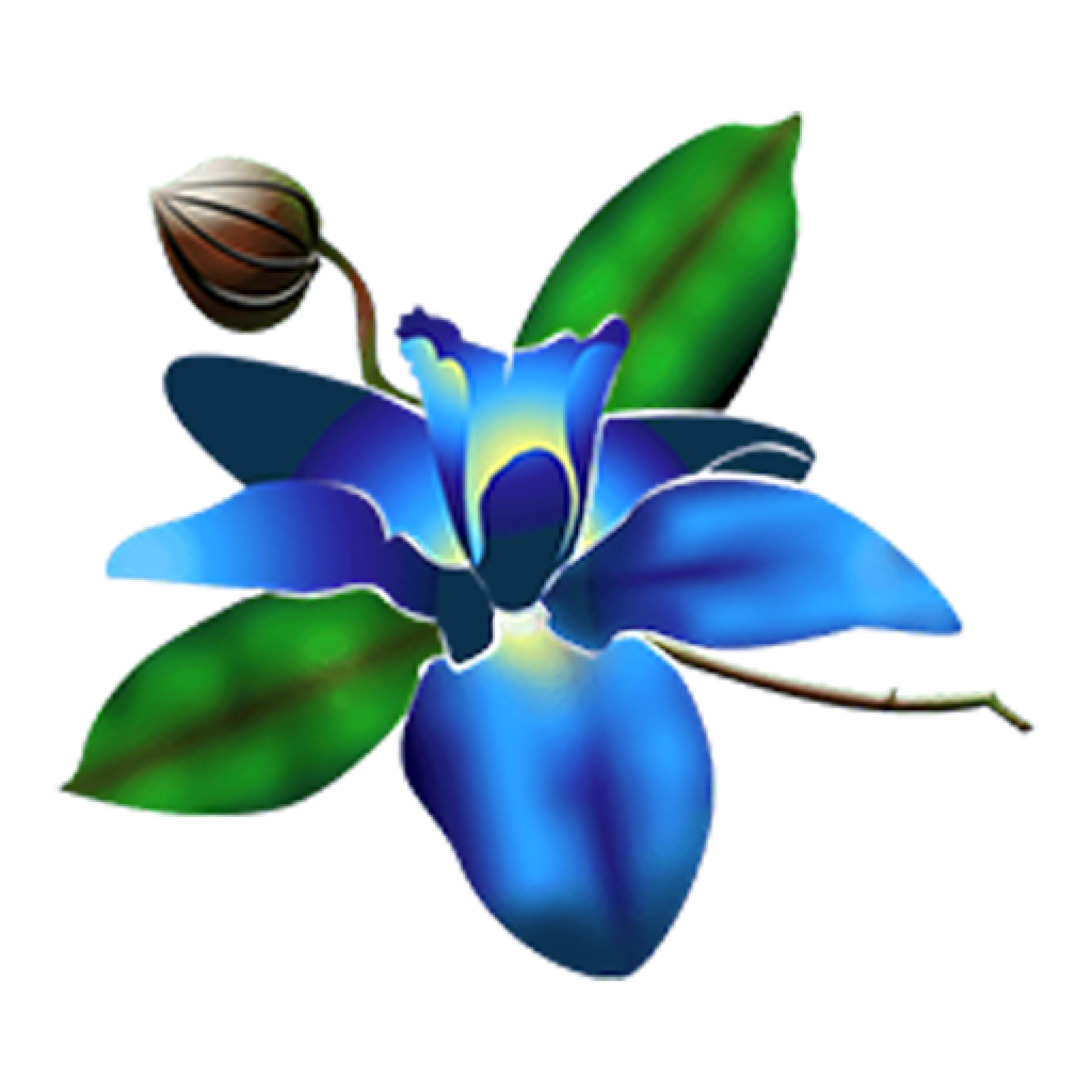 Blue Orchid Chinese Cuisine Westwood Official Site & Menu Order Online